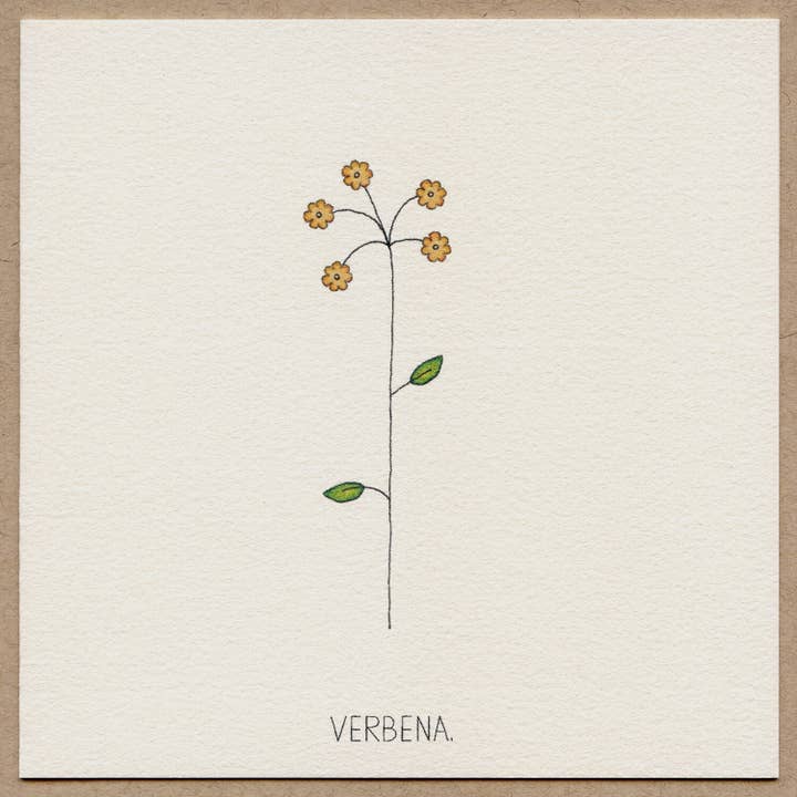 Verbena-Greeting Card. for wholesale by Beth Mueller