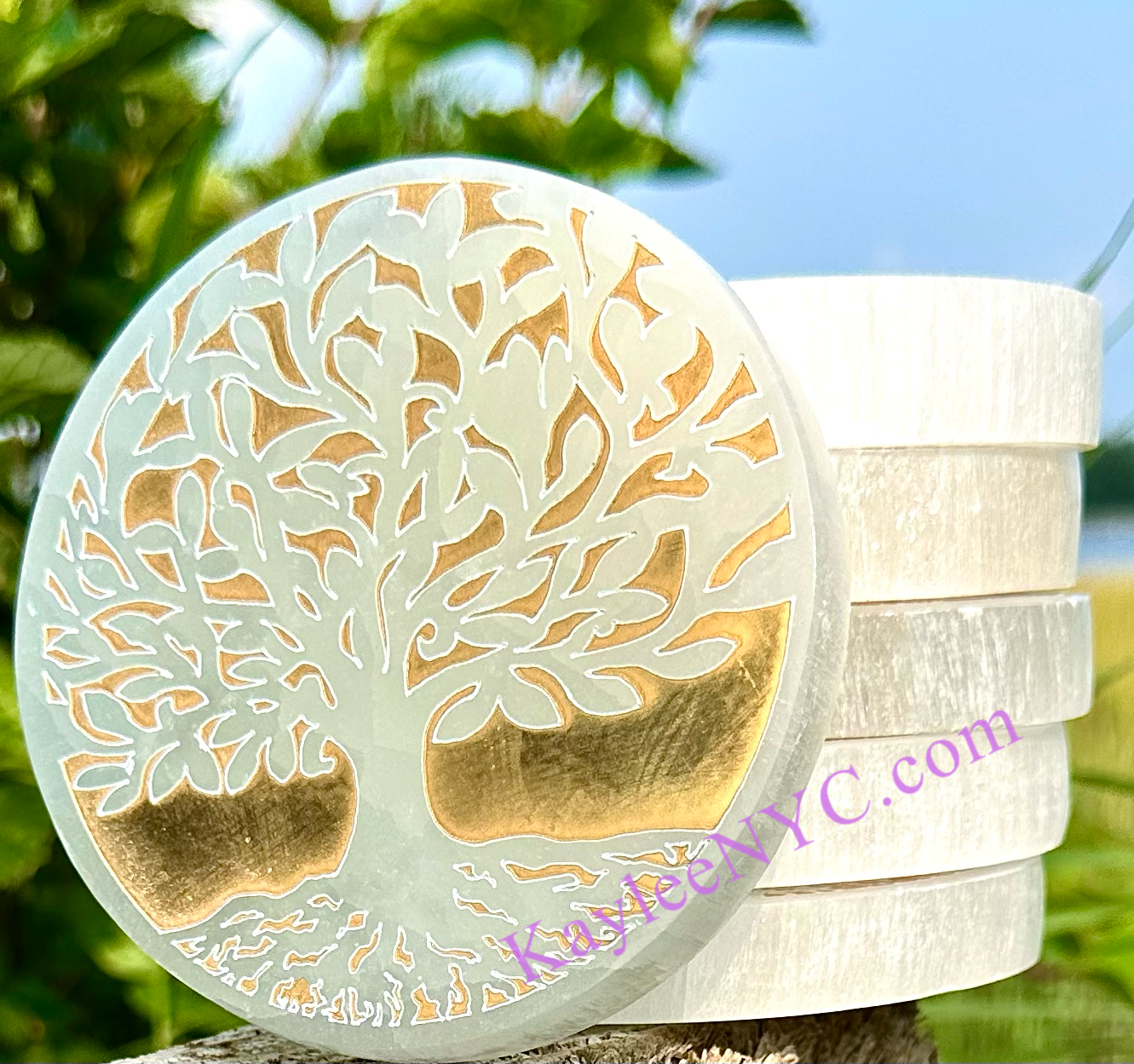 KayleeNYC – Großhandel Kristall-Ladeplatten – Selenit Satin Spar Lebensbaum-Ladeplatte, 10 cm2