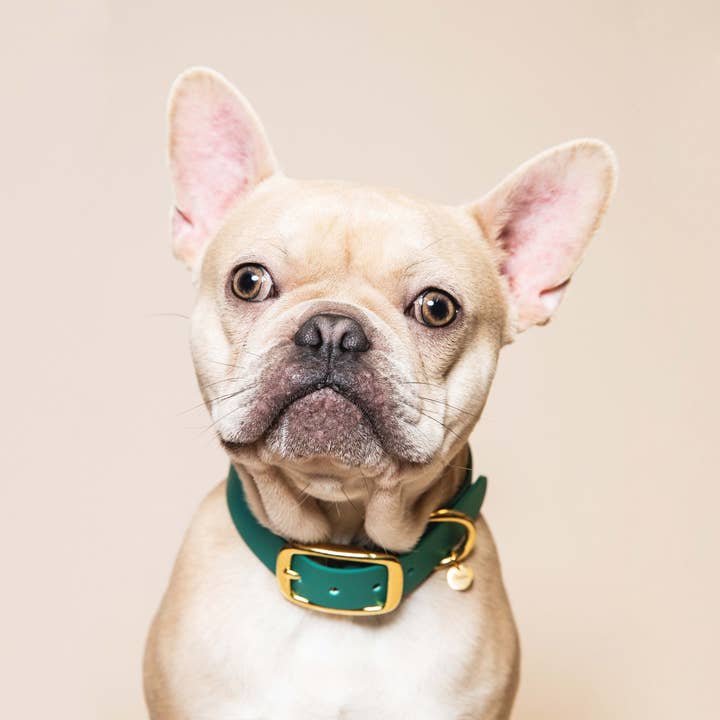 “The Adventurer” necklace - Parisian green for wholesale by Fidèle Paris