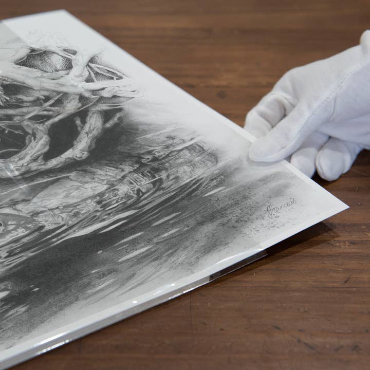 Fiona Francois Art - Vendita all'ingrosso Stampa artistica - Stampa artistica 'Platypus'1