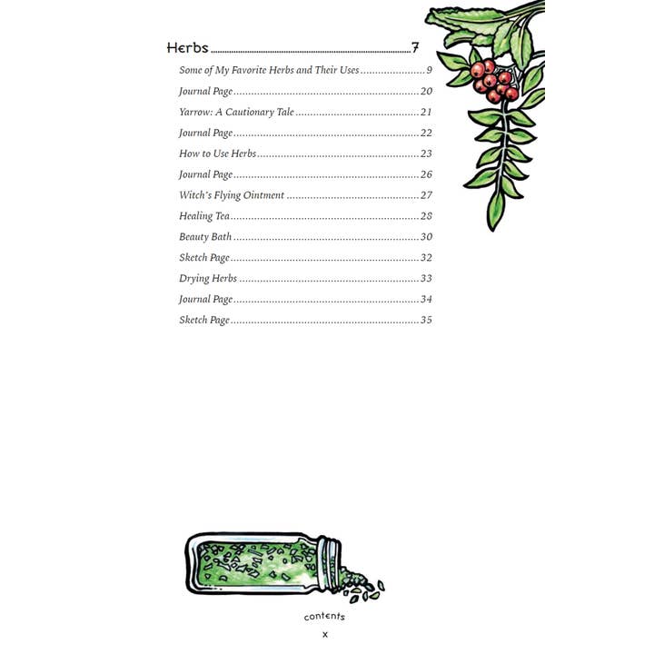 Cardshouse - Vendita all'ingrosso Libro su corpo, mente e spirito - Il libro delle ombre eclettico della strega - Llewellyn1