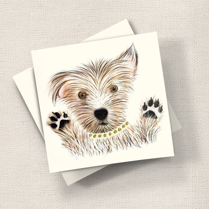 Scruffy Paws for wholesale by English Graphics