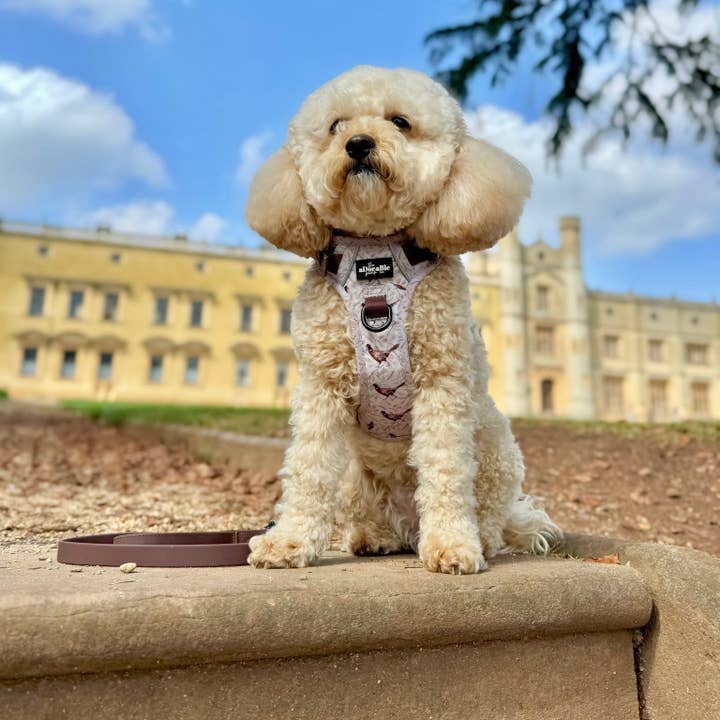 The aDoraBle Pooch Company - Wholesale Pet harness – Dog - Hike & Go™ Harness - Farmland Pheasant25