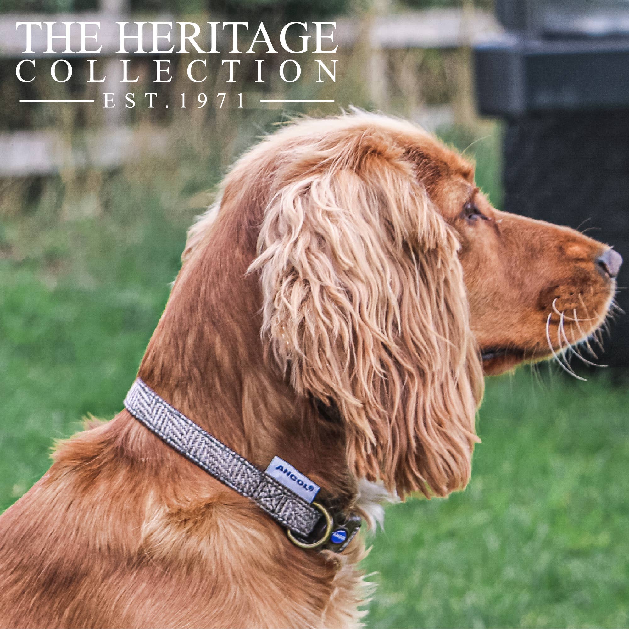 Ancol Pet Products Ltd - Wholesale Pet Collar - Dog - Heritage Collection Herringbone Collar1