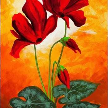 Bernardino Gianola - Flores Verticais Vermelhas de Ciclâmen por atacado de Migneco & Smith