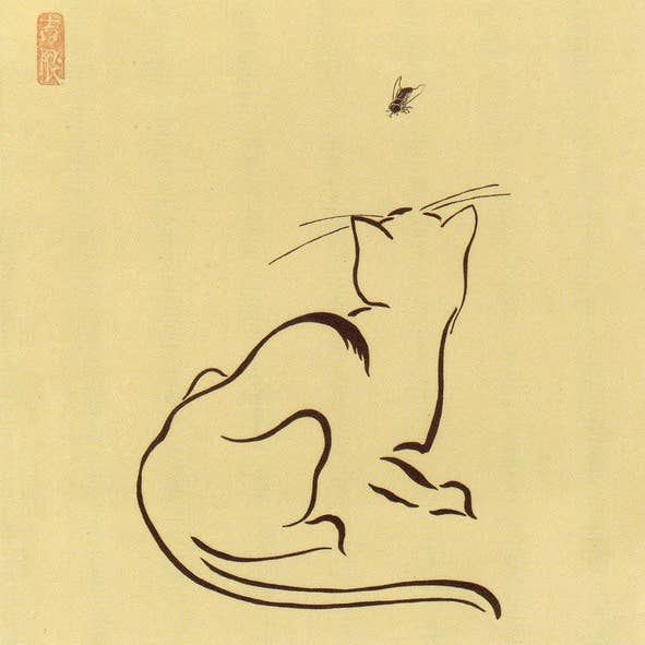 CATCH 12X12 DOUBLE CARDS NC 4801 for wholesale by Phenicia