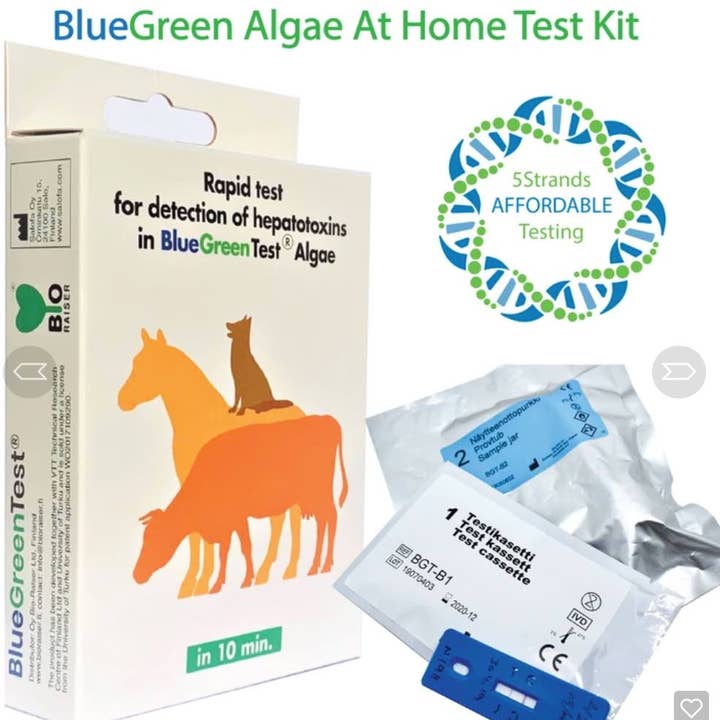 Blue Green Algae Water Test for wholesale by 5Strands Affordable Testing LLC