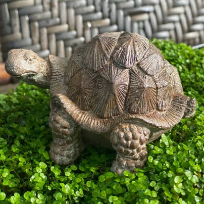 Backyard Stone Art - Vendita all'ingrosso Ornamenti/decorazioni per esterni - Statuetta da giardino in tartaruga6