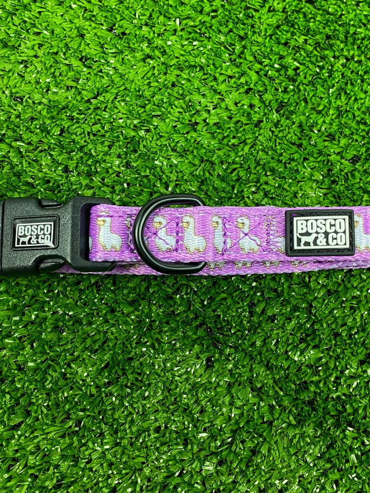 Dog Bow Tie Collar - Pink Alpaca for wholesale by Bosco & Co