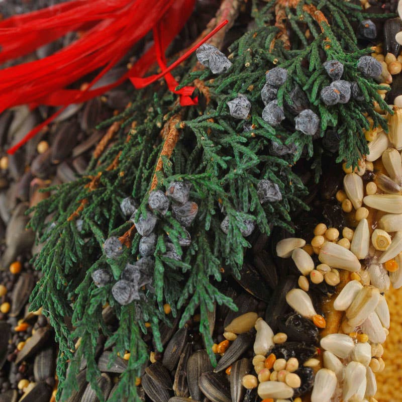 Mr Bird - Wholesale Bird House - Juniper B&B4