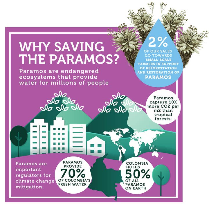 GOOD CHIPS by Paramo Snacks - Wholesale Chips - 12 count Baked Organic Beet and Yacon Chips - 0.7oz bags7