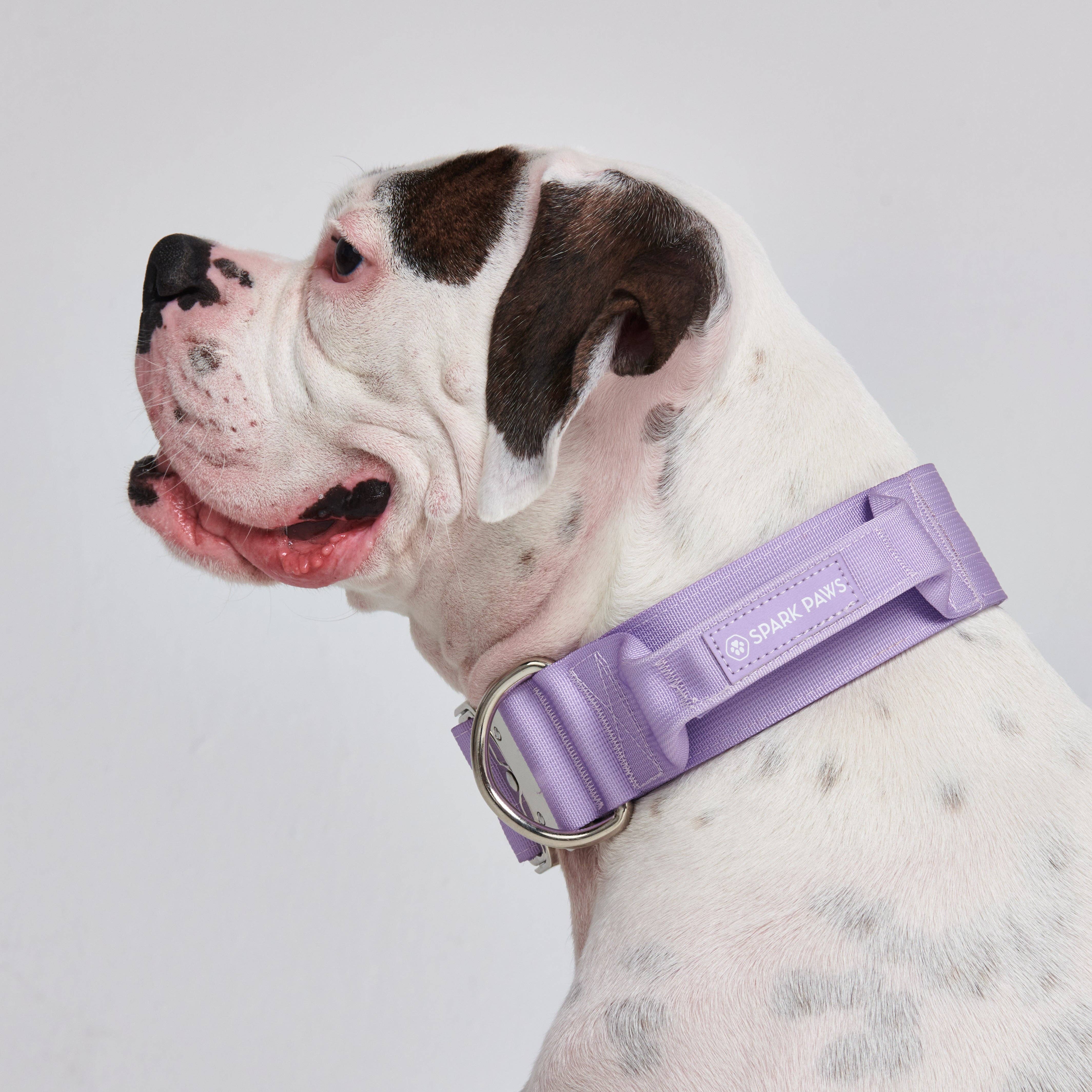 Spark Paws - Wholesale Pet Collar - Dog - Tactical Dog Collar - Lilac (2"/5cm)2