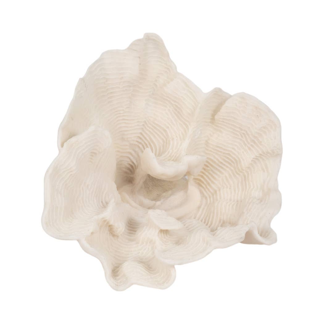 Sagebrook Home - Wholesale Decorative Figurine - Decorative Figurine - Ivory Resin Coastal Coral Fan, 12 in.8