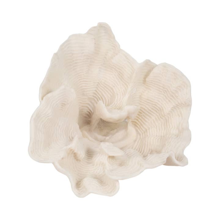 Sagebrook Home - Wholesale Decorative Figurine - Decorative Figurine - Ivory Resin Coastal Coral Fan, 12 in.8