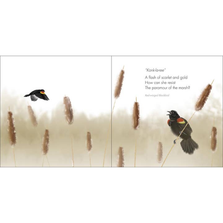 AdventureKEEN - Wholesale Nature & Outdoors - Zen Birds1