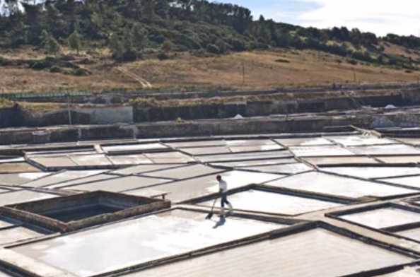 O Melhor do Ribatejo - Wholesale Salt - Sal da Terra - Flavoured Salt | From Portugal7