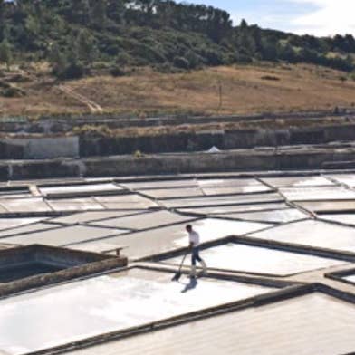 O Melhor do Ribatejo - Wholesale Salt - Sal da Terra - Flavoured Salt | From Portugal7