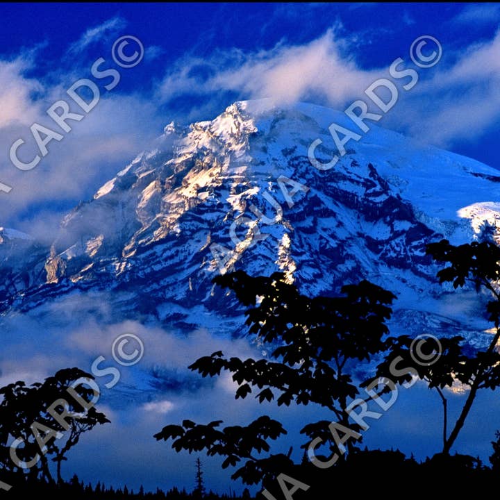 1013 - Rainier After The Storm for wholesale by Aqua Cards