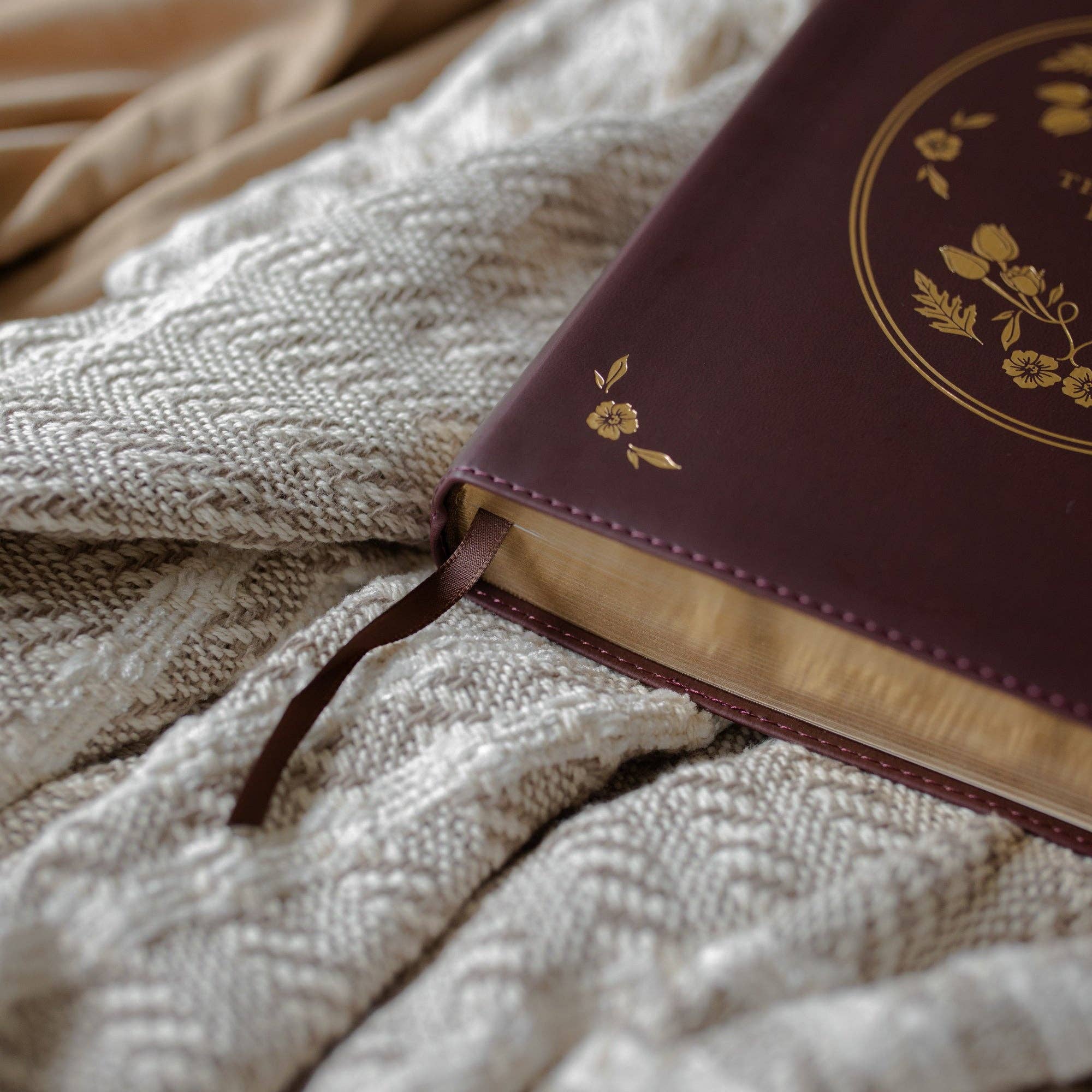 The Daily Grace Co - Wholesale Religion - ESV Wide Margin Reference Bible - John 15:55