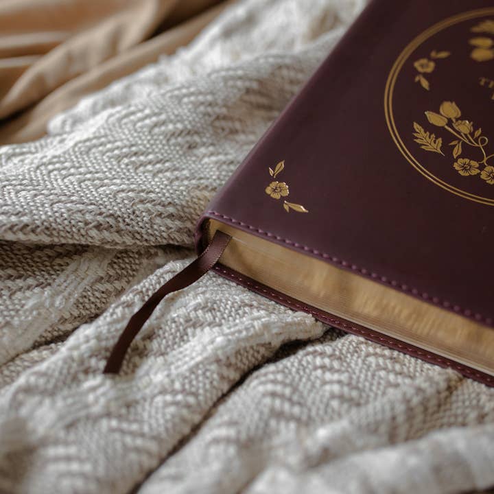 The Daily Grace Co - Wholesale Religion - ESV Wide Margin Reference Bible - John 15:55