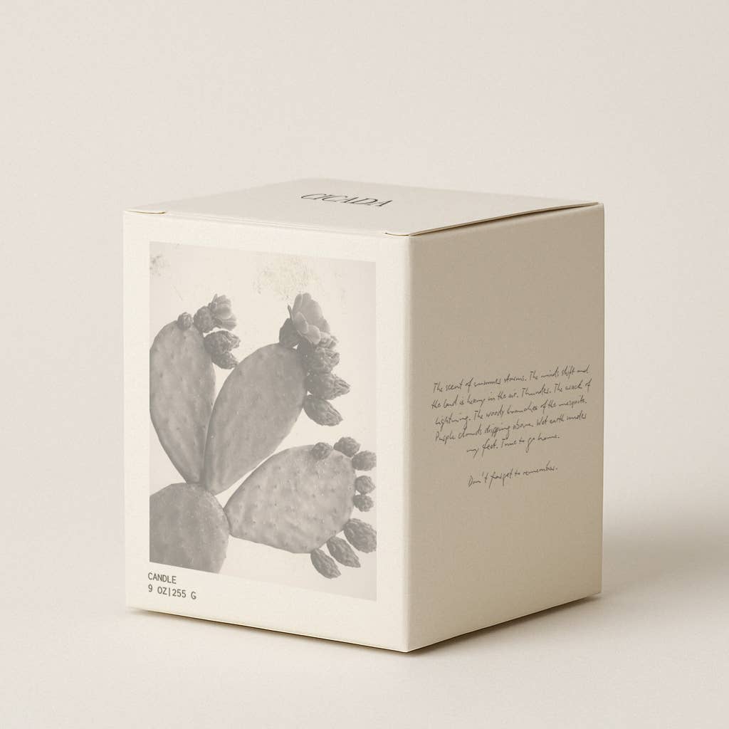 CICADA - Wholesale Jar/Filled Candle - No. 09 Medium Candle - the scent of prickly pear4