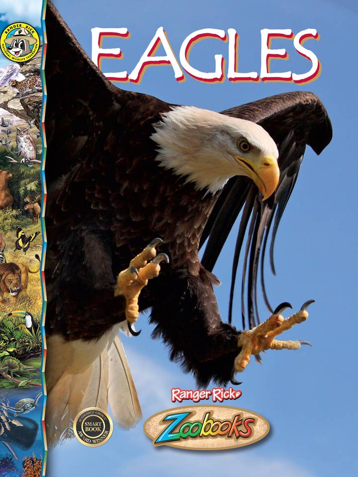 Adler für den Großhandel von Black Rabbit Books