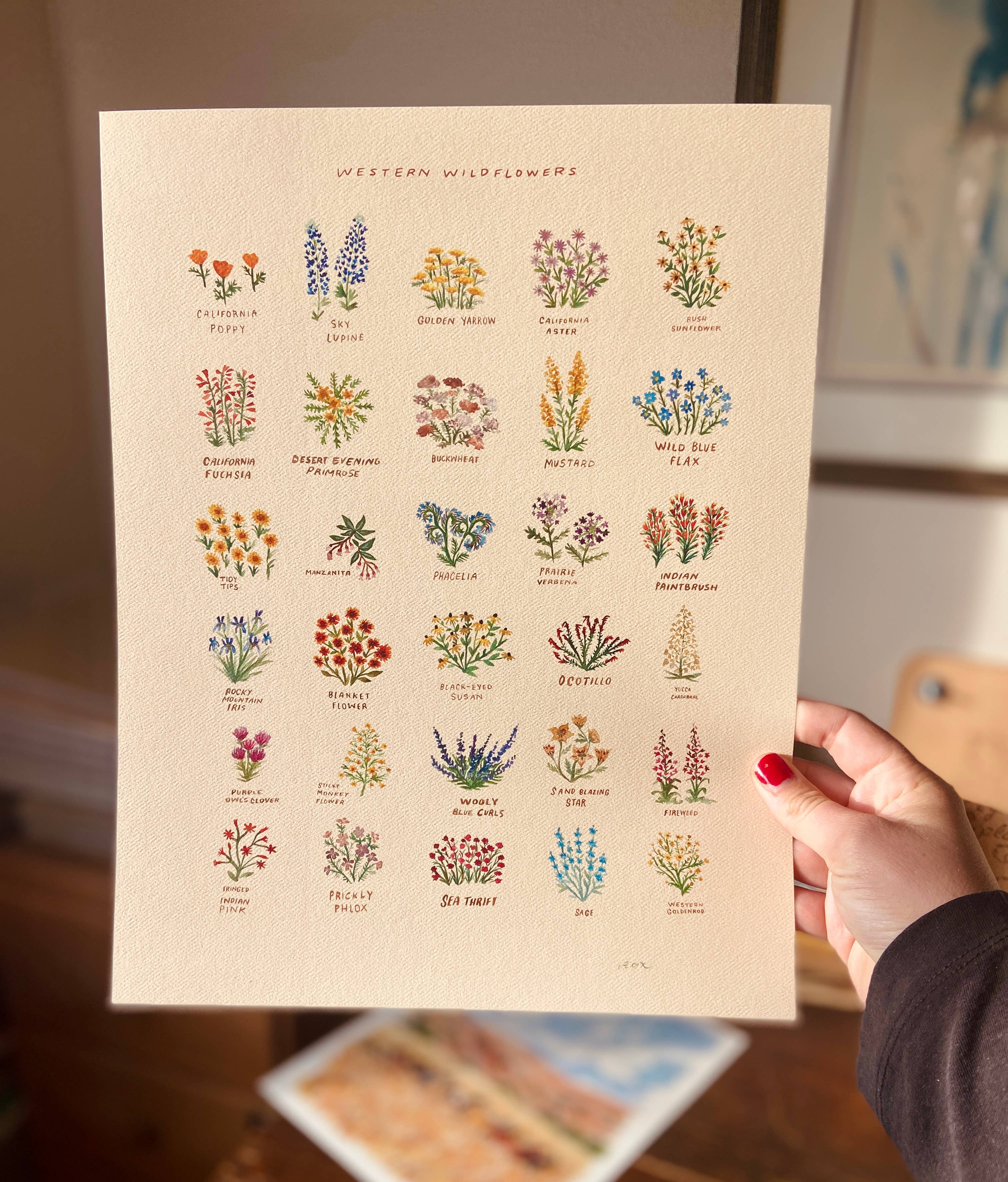 Little Salt Wagon - Wholesale Art Print - Western Wildflowers With Names Art Painting Decor5