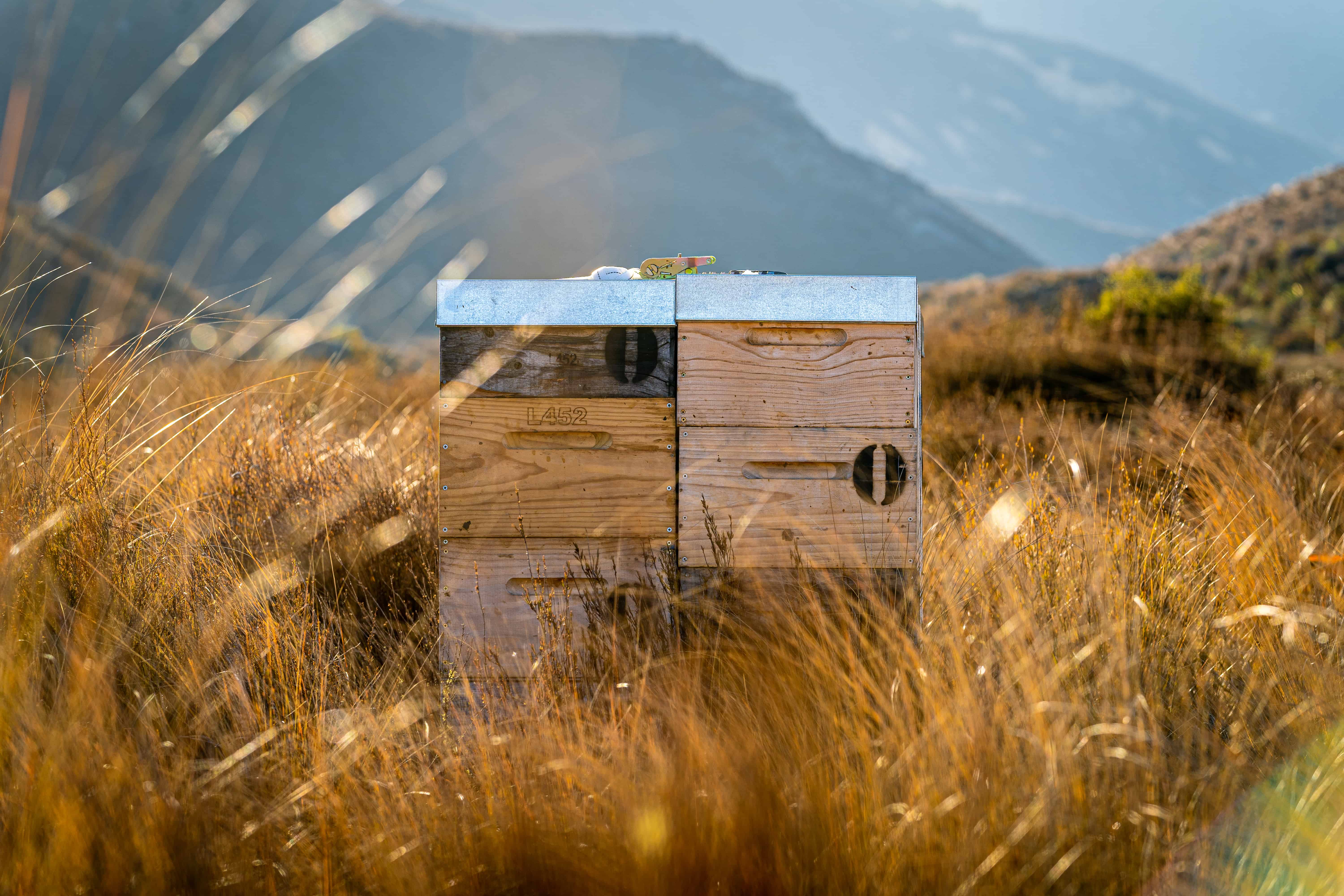 Zealandia Honey - Wholesale Honey - Zealandia Honey® Platinum5