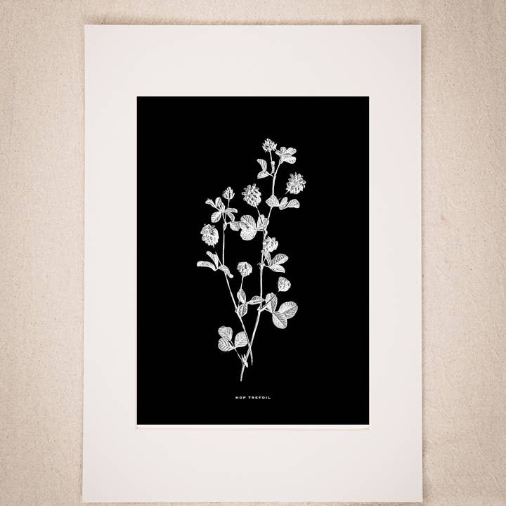 Coultura - Wholesale Gallery Wall Set - Framed Gallery Wall Set – Vintage Butterfly Botanical Art Prints (Set of 6, Black Noir Frame)8