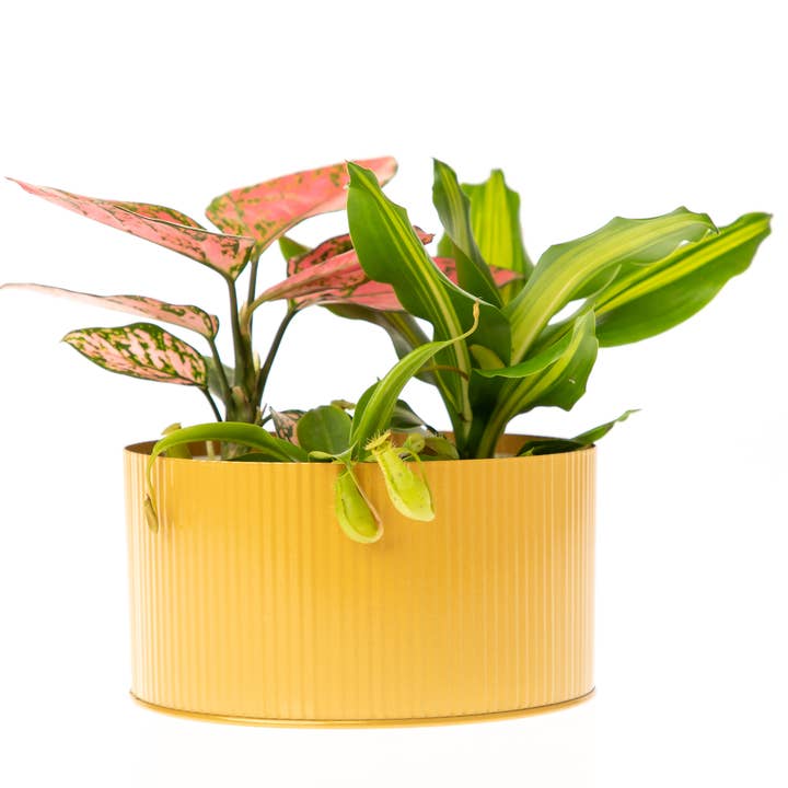 Vaso in latta zincata dorata per matrimoni, eventi e uso quotidiano, 19,1 x 10,2 cm per la vendita all'ingrosso da parte di UNIMIX FLORAL