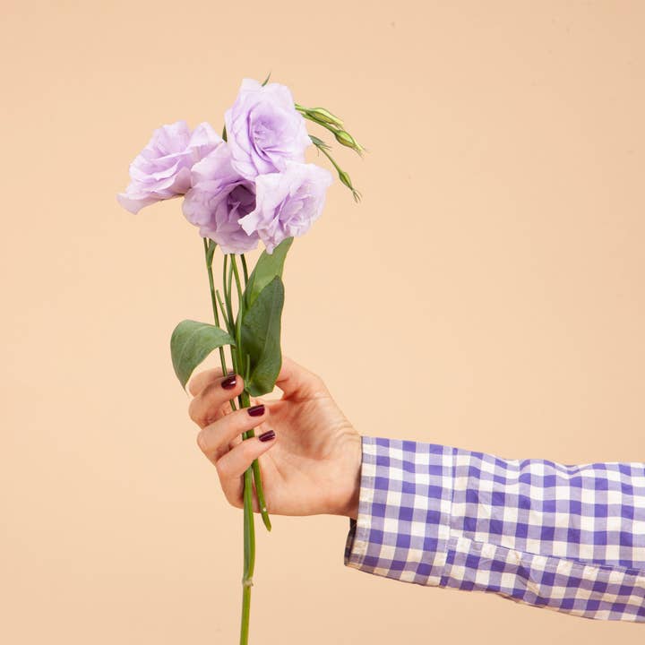 Plantgem - Wholesale Live Plant - Echo Lavender Lisianthus Plants