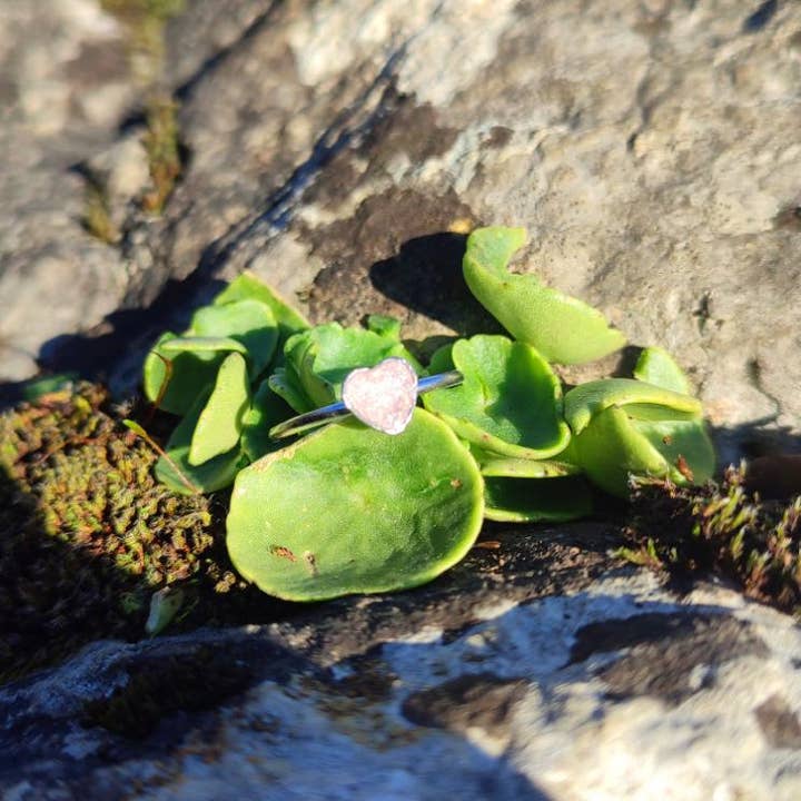 Kleiner Ring Herz Hellrosa und Silber 💗Einzigartiger Edelstahl 5mm für den Großhandel von Maroussia Bijou