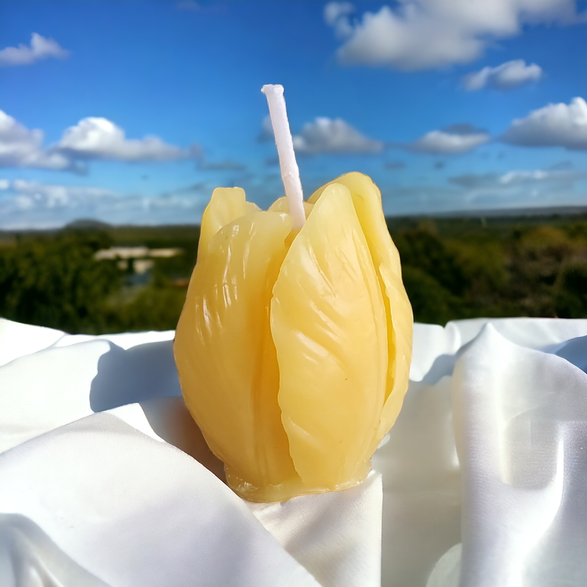 Different Branches – wholesale Novelty candle – Handmade in Ohio Single pure beeswax tulip candle no drip1