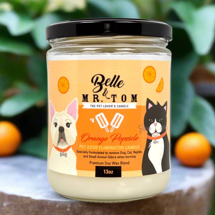 Belle & Mr. Tom - Wholesale Jar/Filled Candle - *Orange Popsicle1