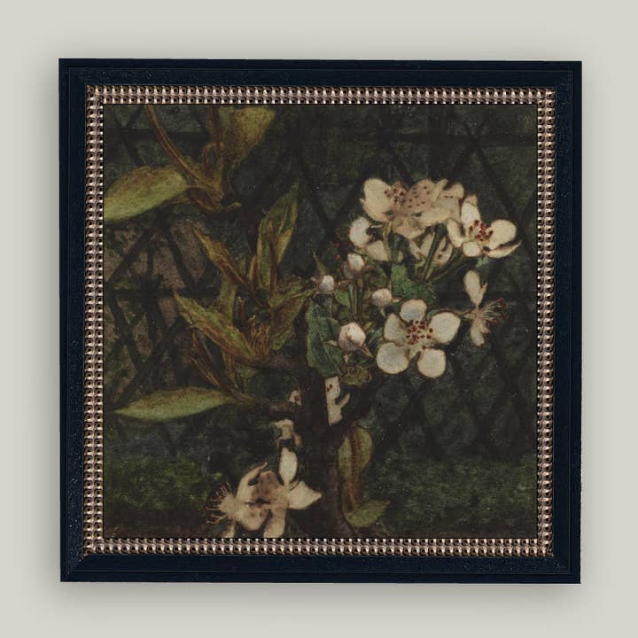 Petal Lane Home - Vente Ensembles d'art mural - Art ancien encadré de fleurs de pommier foncées3