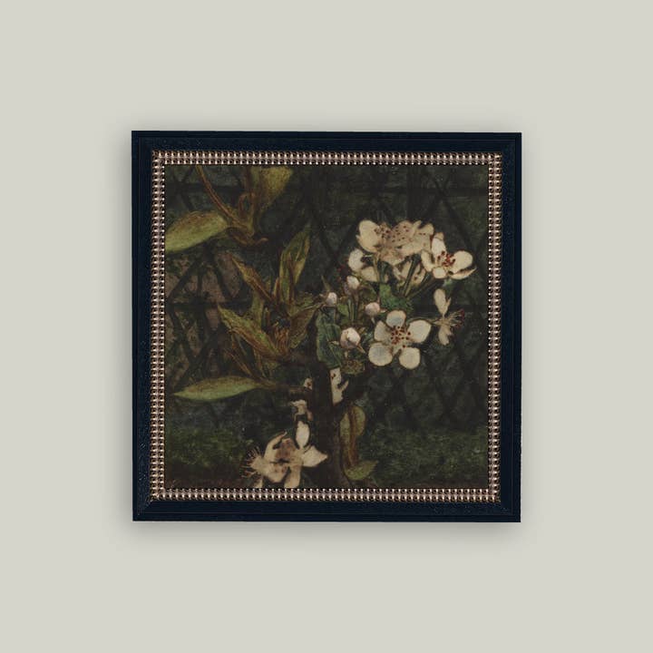Petal Lane Home - Wholesale Wall Art Set - Dark Apple Blossoms Framed Antique Art