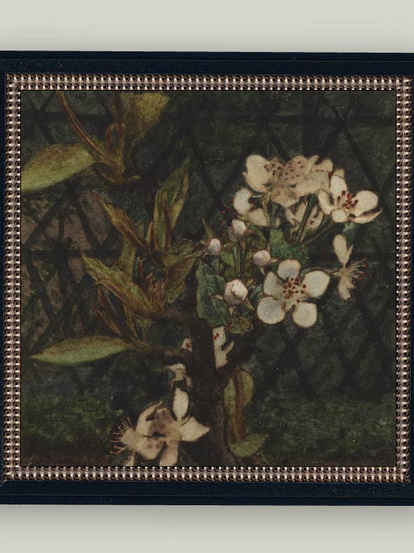 Dark Apple Blossoms Framed Antique Art for wholesale by Petal Lane Home