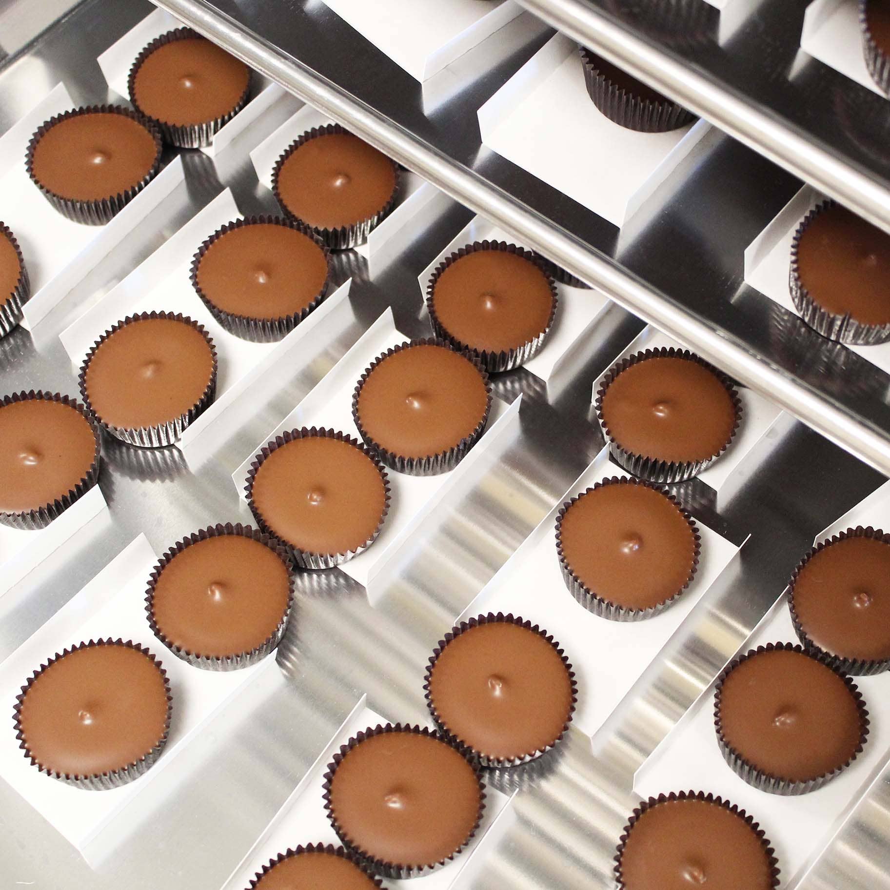 Vermont Nut Free Chocolates - Wholesale Chocolate Box - 12 ct Box Chocolate Sun Blossoms®9