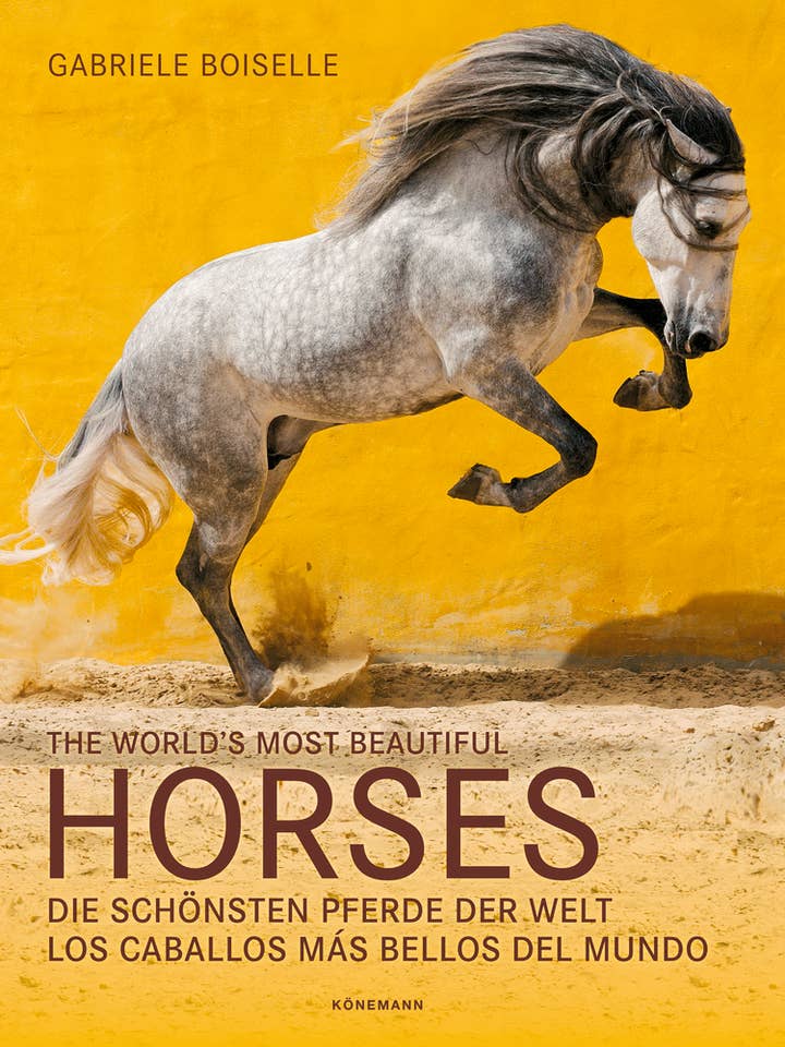 World's Most Beautiful Horses for wholesale by Independent Publishers Group
