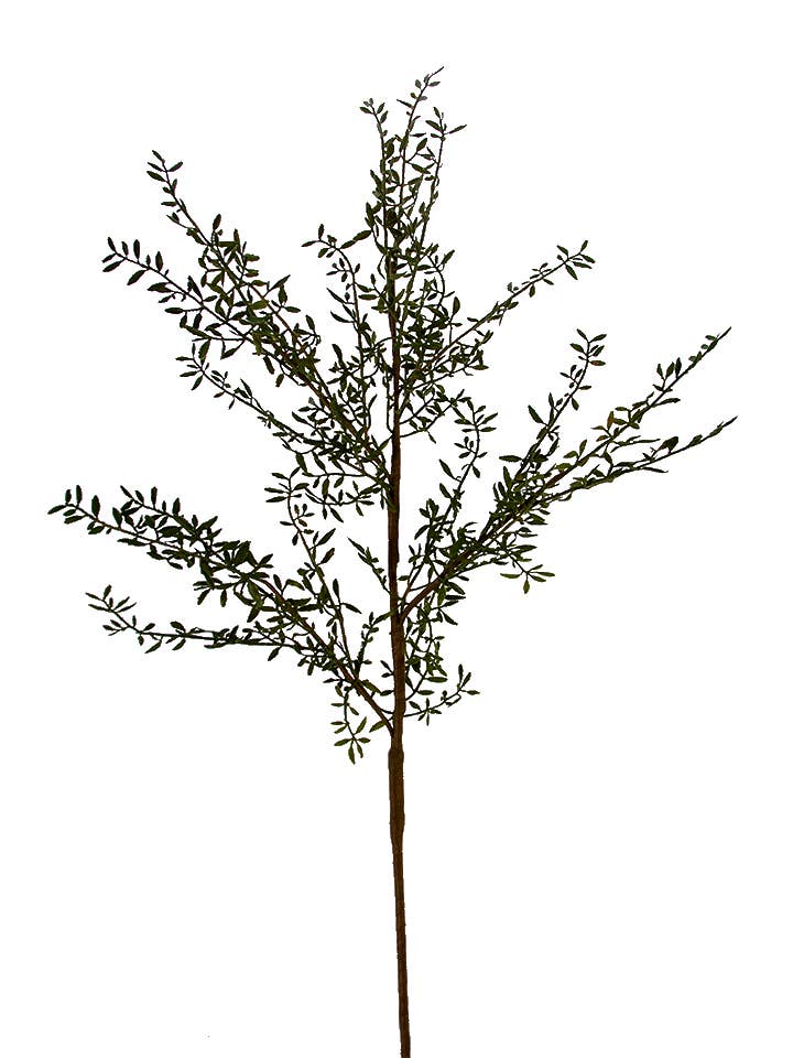 47" ROSEMARY BRANCH for wholesale by American Best