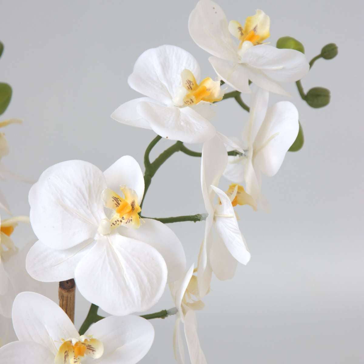 Oasis of Life - Wholesale Artificial Flowers - Artificial Phalaenopsis Orchid – 55cm Tall – White Artificial Orchid – Deceptively Realistic & Maintenance-Free – Luxurious Decorative Flower for Living Room, Office & Dining Table4