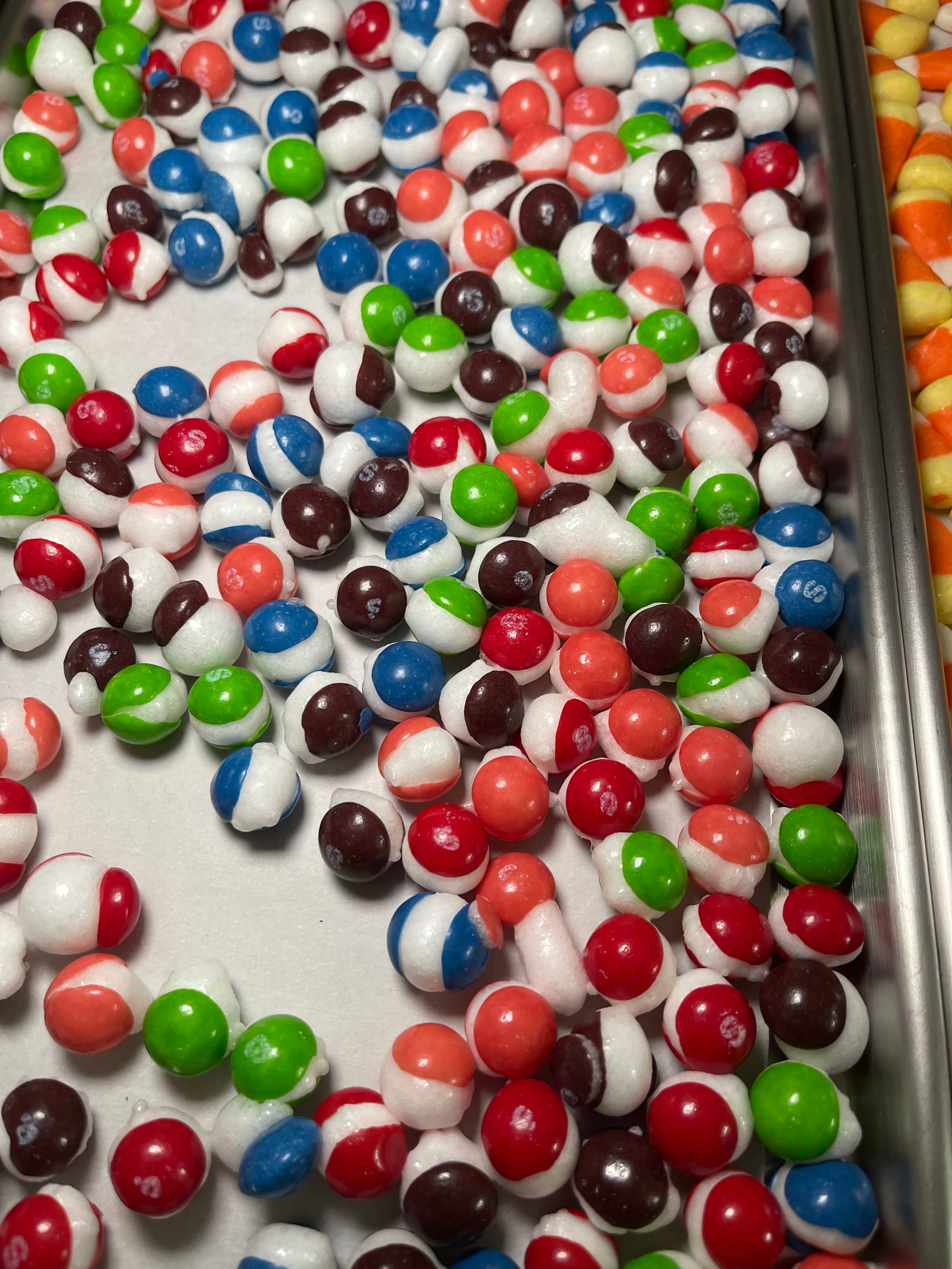 Dayba Creations - Wholesale Hard Candy - Wild Berry Shell Shocks2