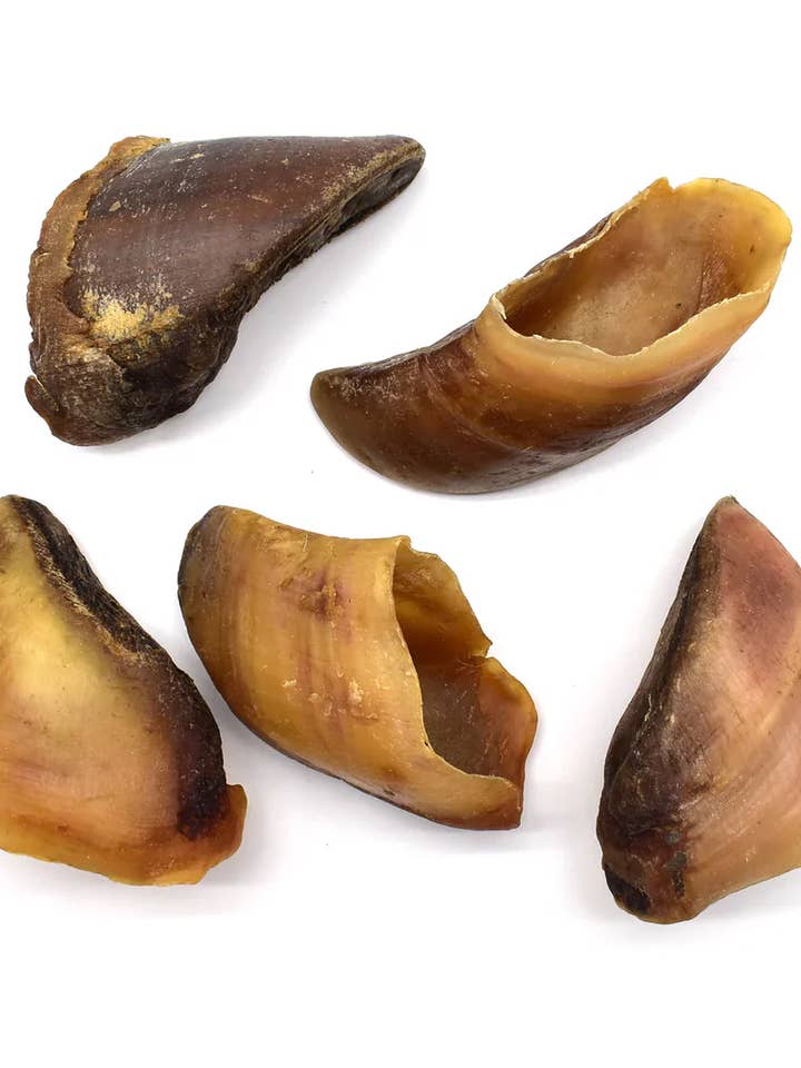 Kalvklöv för Hund Styckvis för wholesale av by nathdibella