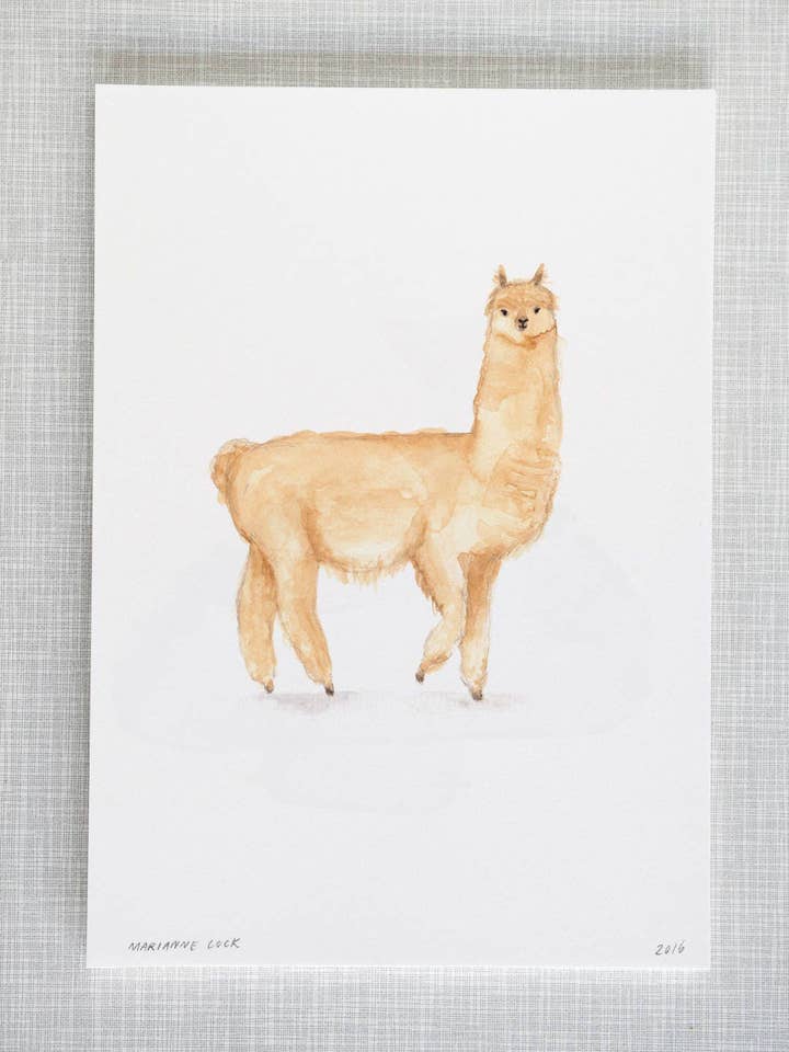 Llama Animal Print A4 size for wholesale by Mary and the Locks