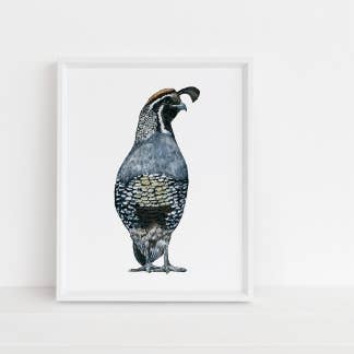 Impression d'art de caille pour la vente par Jennie Kilcup Watercolors