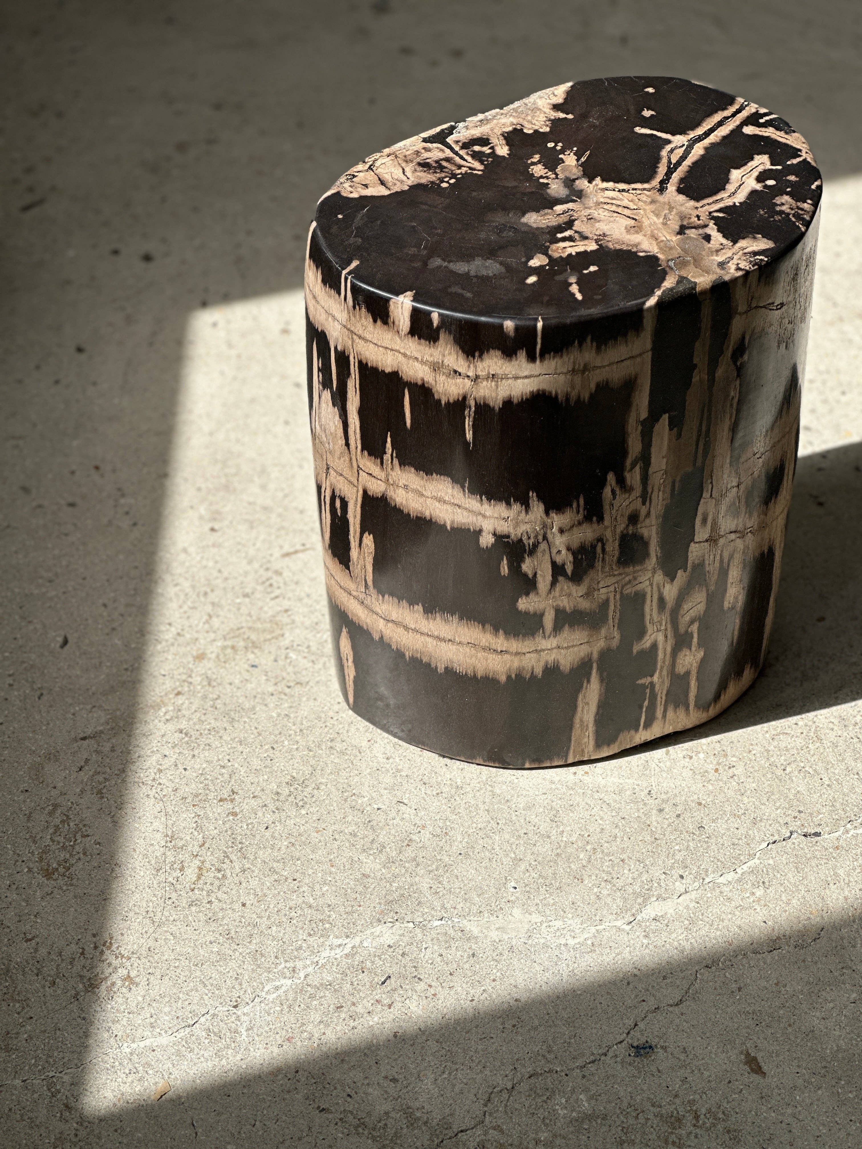 Office Objets - Vente Tables d'appoint - Table d'appoint en bois pétrifié27