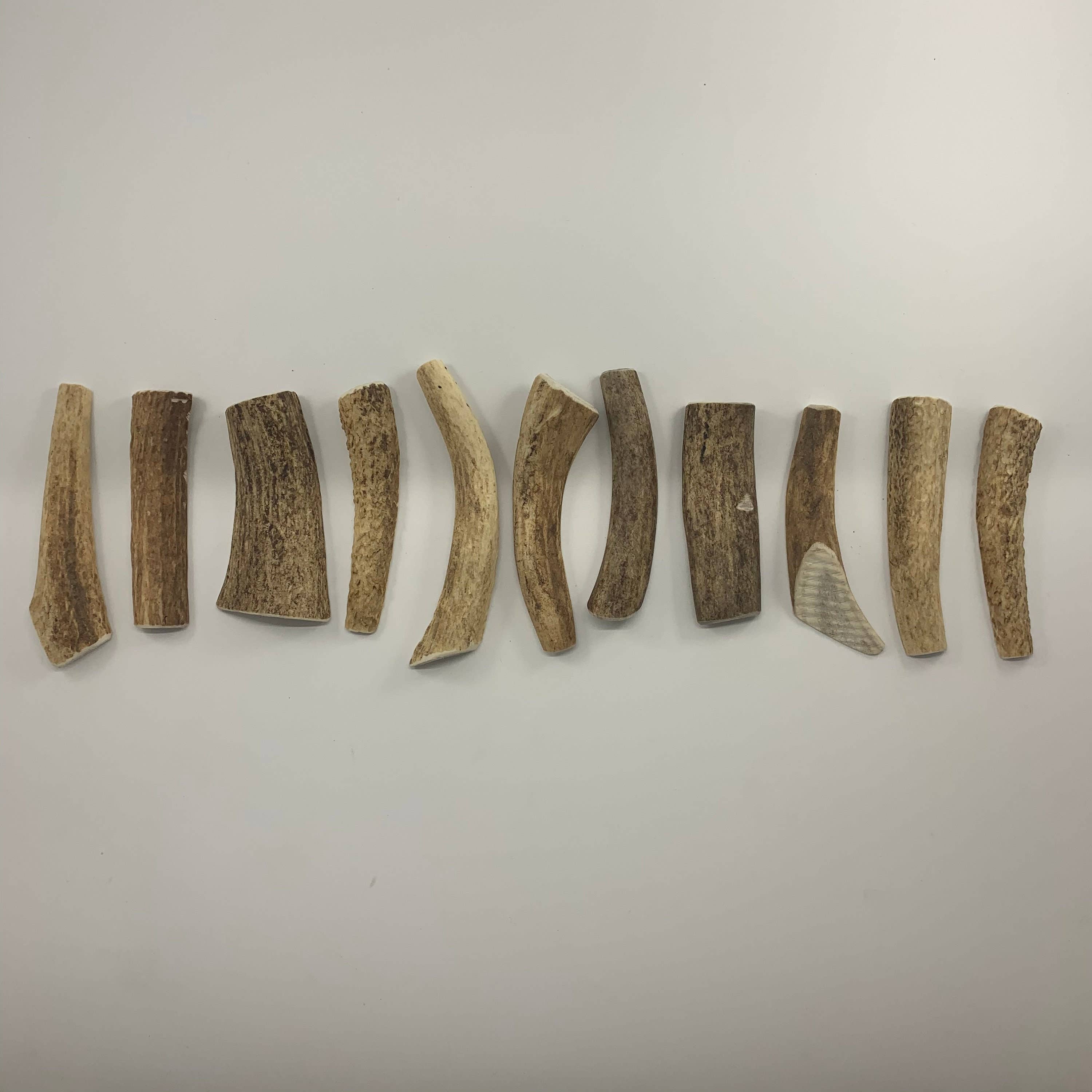 Pawsome Pet Toys - Vendita all'ingrosso Giocattolo da masticare - Cani - Antler naturali di cervo taglia S3