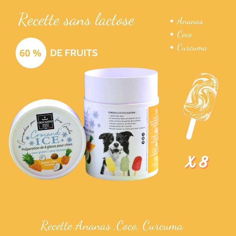 Crocandiz - Wholesale Pet Treats - Dog - Dog treat, pineapple-coconut ice cream for dogs2
