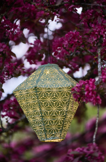 Lumina Of London AU - Wholesale Outdoor/lawn light - Outdoor LED Solar Lanterns15