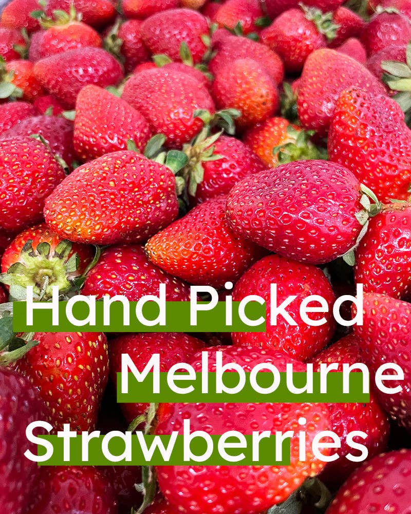 Forever Foods – Engroshandel Tørret/dehydreret frugt – Frysetørrede jordbær5